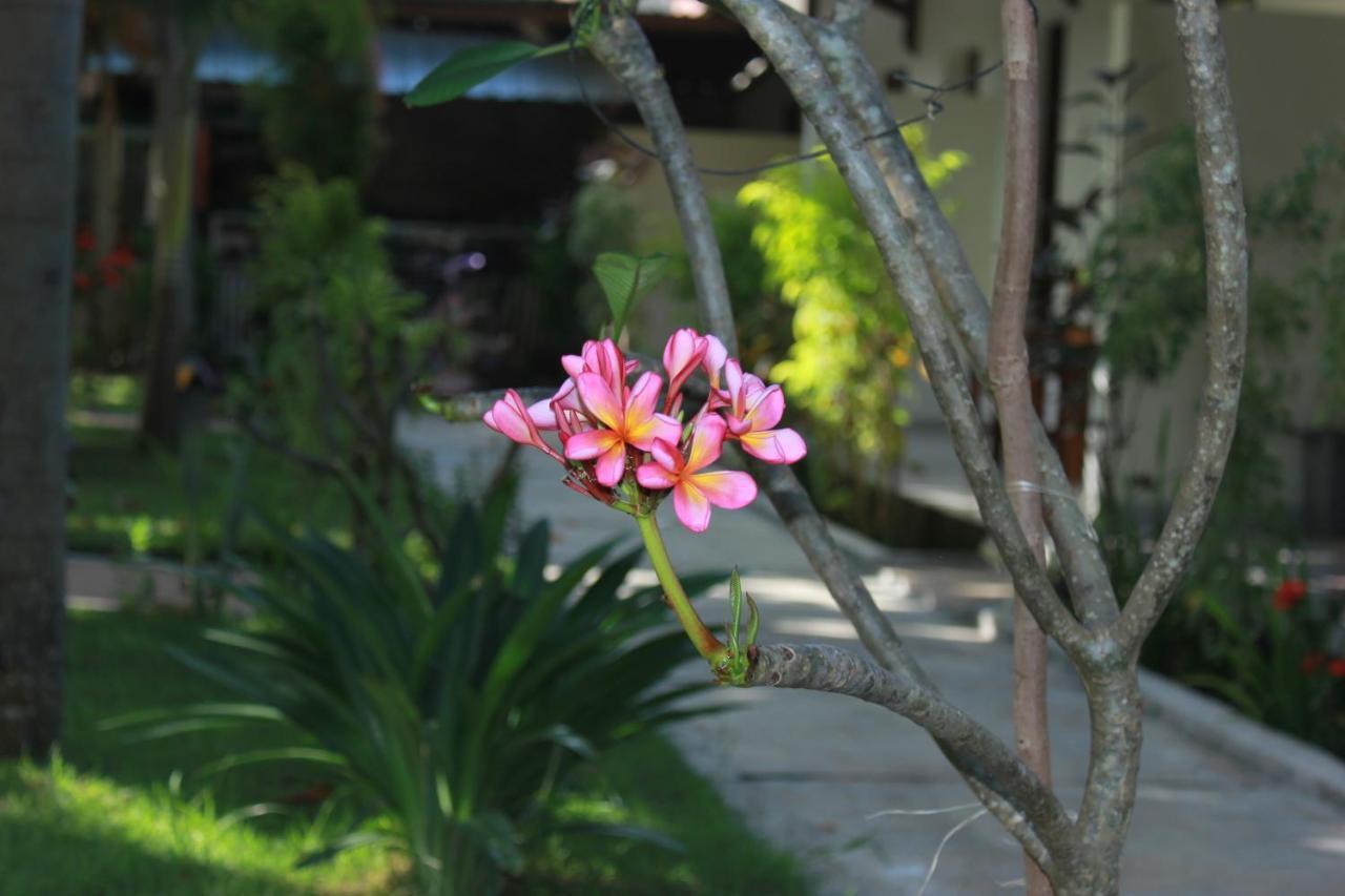 Herry Homestay Kuta  외부 사진