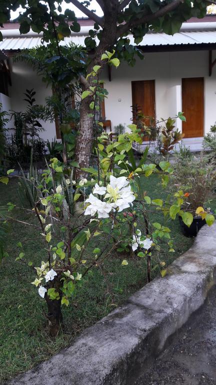 Herry Homestay Kuta  외부 사진