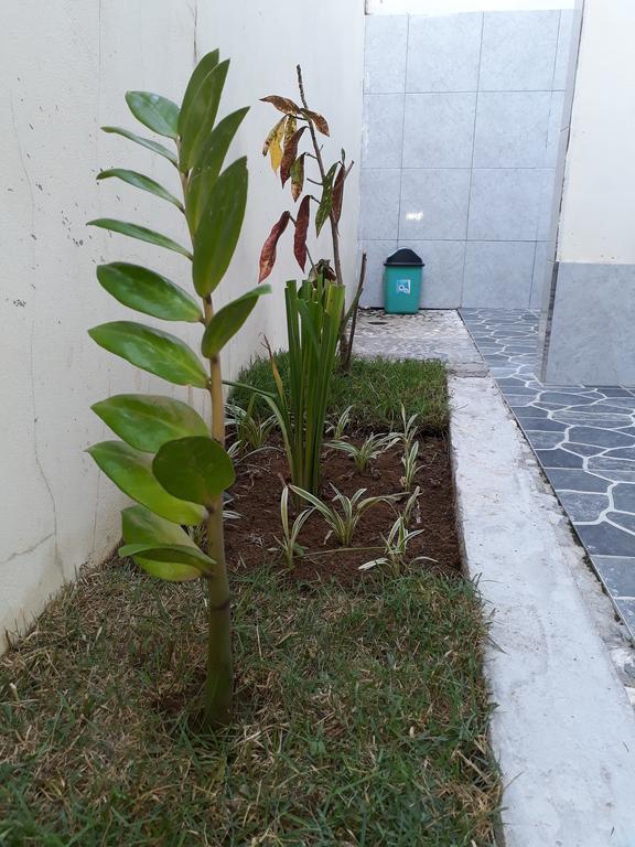 Herry Homestay Kuta  외부 사진